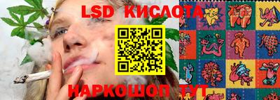 PSILOCYBIN Кулебаки